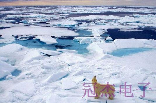 極地地區(qū)持續(xù)升溫采用無人機(jī)高頻晶振暗中保護(hù)北極熊